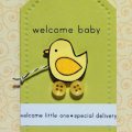 Welcome Baby Duck Card