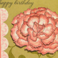 Many More Carnation Birthday Card