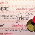 Colors for contrast...blush pink, poppy red, raspberry fizz, ripe avocado green for leaves and button bow.