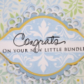 Cased Jean's Blog Hop card!

http://bethscards.blogspot.com/2011/02/papertreysjanuary-blog-hop-case.html