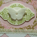 Pretty Butterfly