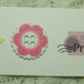Tiny Tag discoveries
