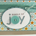 bundle of joy sssc101