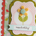 daisy card