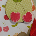 Sweet Cherry bag detail
