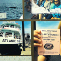 Whale Watching Scrapbook Page