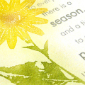 There is a Season Card - detail