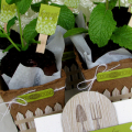 Garden Variety Mint Chocolate Cakes