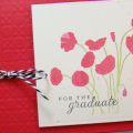 Stamps: Botanical Silhouettes, For the Graduate
 Paper: Aqua Mist, Royal Velvet, Pure Poppy, Rustic Cream
 Ink: True Black, Dark Chocolate, Color Box Wisteria & Warm Red, CTMH Breeze
 Other:...
