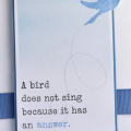 A Bird Does Not Sing Because. . .