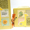Baby Months Mini Scrapbook & Card