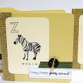 Jungle Flashcard Cards