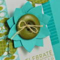 Celebrate detail