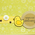Special Delivery Baby Card