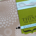 Sunshine card
