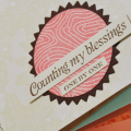 Gratitude Journal - Counting my Blessings