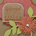 Special Person