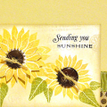 Sunflower Sunshine Card