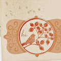 2009 Anniversary Set