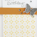 chupa grey butterfly birthday 1