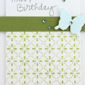 chupa blue butterfly birthday 1
