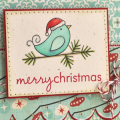 Merry Christmas Bird