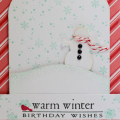 Warm Winter Bday detail