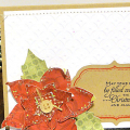 Christmas Joy Poinsettia Card