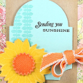 Sending Sunshine CTD165