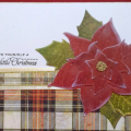 Poinsettia 'n Plaid