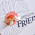 Genuine Friend Detail
