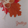 Thanksgiving card - 2011