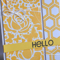 Hello