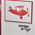 A debossed card, I made this card for the clean and simple card class. I die cut the plane out of some magnetic material. It cuts beautifully and the die cut holds its form better than thick paper...