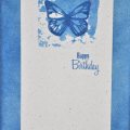 Blue butterfly