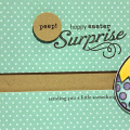 Easter Chick Surprise Card