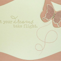 Dreams Take Flight