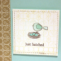 Just Hatched Card