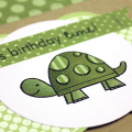 Birthday Time Turtle Card - detail