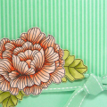 Supplies
All supplies Papertrey Ink unless otherwise noted.
Stamps: In Bloom;
Colors: Aqua Mist, Sweet Blush, Spring Moss; Black (Palette);
Other: Aqua ribbon, Aqua pattern paper; markers...