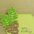 Supplies
All supplies Papertrey Ink unless otherwise noted.
Stamps: Masculine Motifs, Labels Basics;
Colors: New Leaf, Spring Moss, Early Espresso;
Other: Woodgrain Impression plate, Rustic...