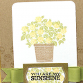 Sunshine Flowers Card