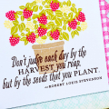 Seeds You Plant card detail