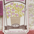 Supplies

Stamps: Garden Variety II, Year of Flowers Titles, Trendy Tree Tops
Ink: Dark Chocolate, Classic Kraft, Autumn Rose, Simply Chartreuse
Cardstock: Rustic White
Other: Large Glassine...