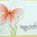 Supplies
All supplies Papertrey Ink unless otherwise noted.
Stamps: Beautiful Butterflies, Fancy Flourishes;
Colors: Lemon, White, Spring Moss, Melon Berry, (Smokey Shadow or Chocolate for the...