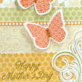 Supplies
All supplies Papertrey Ink unless otherwise noted.
Stamps: Butterfly Dreams, Fancy Flourishes; Trendy Greetings (TAC);
Colors: Avocado, Orange Zest, White;
Other: Patterned Paper:...