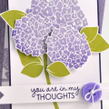 In My Thoughts Hydrangeas