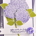 In My Thoughts Hydrangeas