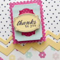 Supplies

Stamps: Framed Out #4, Fillable Frames Sentiments, Polka Dot Basics I, Flipping Out
Ink: True Black, Raspberry Fizz, Aqua Mist, Harvest Gold, Sweet Blush
Cardstock: Aqua Mist,...