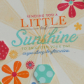 Little-Bit-of-Sunshine